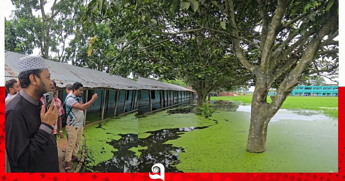 বিদ্যালয়ে জলাবদ্ধতা, ক্ষুব্ধ এমপি আমির হামজা