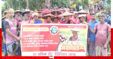 ৫ শতাংশ মজুরি বৃদ্ধি প্রত্যাখ্যান চা-শ্রমিকদের