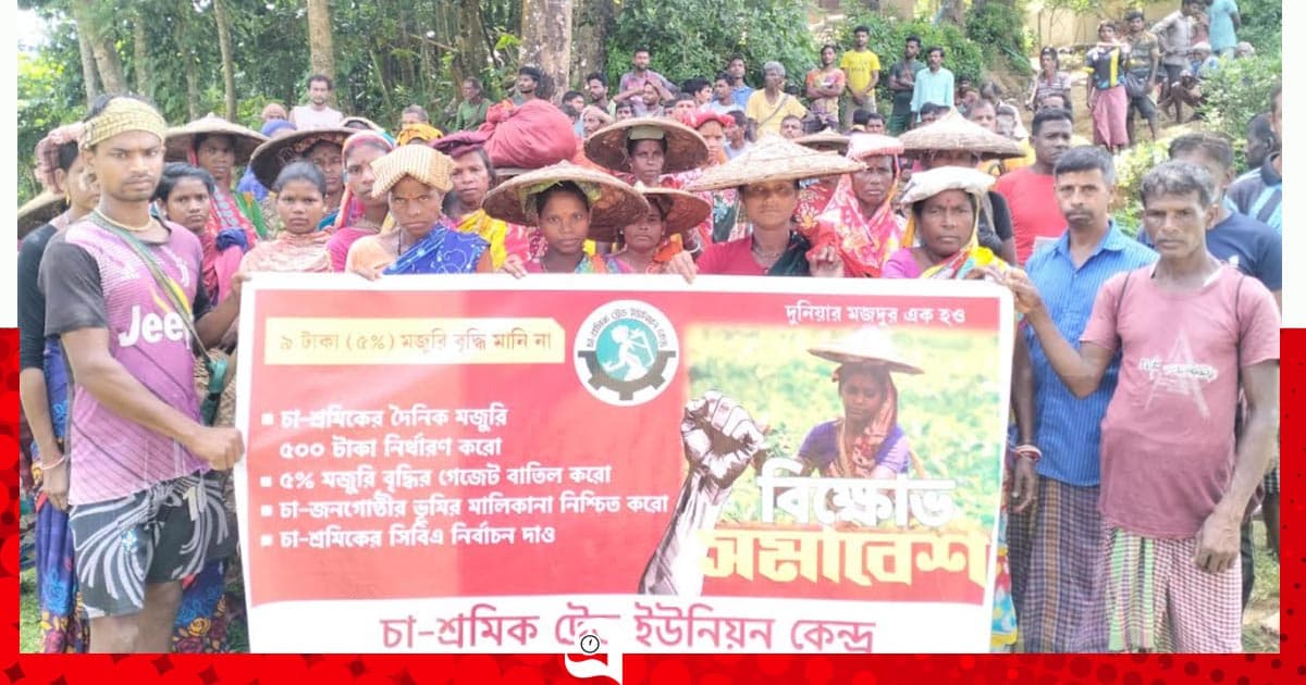 ৫ শতাংশ মজুরি বৃদ্ধি প্রত্যাখ্যান চা-শ্রমিকদের