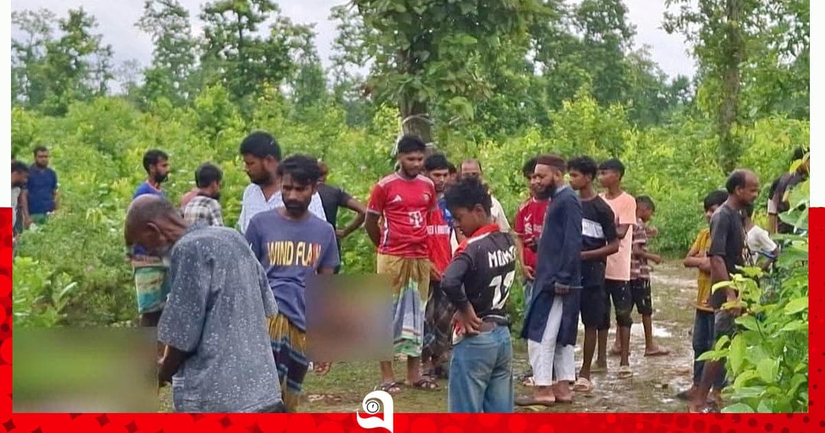 শ্রীপুরে গভীর জঙ্গলে মিলল ১২ ঘোড়ার নাড়িভুঁড়ি-হাড়গোড়, মাংস উধাও
