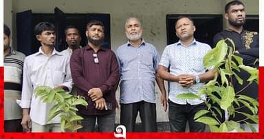 নেছারাবাদে স্বেচ্ছাসেবী সংগঠনের উদ্যোগে বৃক্ষরোপণ