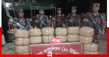 চৌদ্দগ্রাম সীমান্তে বিজিবির অভিযানে গাঁজা উদ্ধার