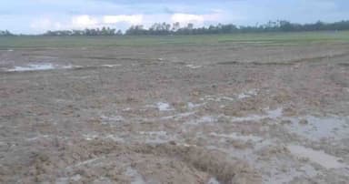 জৈন্তাপুরে আদালতের নিষেধাজ্ঞা অমান্য করে জমিতে হালচাষ, সংঘাতের শঙ্কা