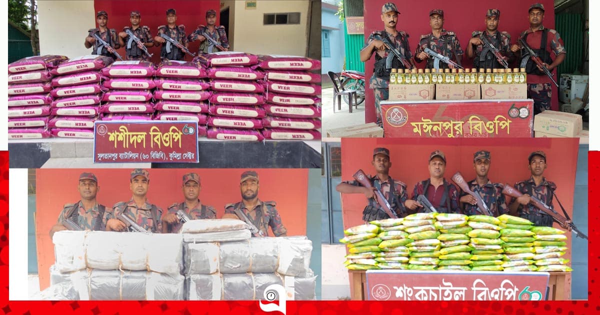 সীমান্তে একদিনের অভিযানে ২৫ লাখ টাকার পণ্য জব্দ