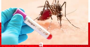 ডেঙ্গুতে আরও ২ জনের মৃত্যু