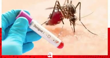 ডেঙ্গুতে প্রাণ গেল আরও ২ জনের