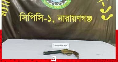 সোনারগাঁয়ে ঝোপ থেকে বিদেশি পিস্তল উদ্ধার
