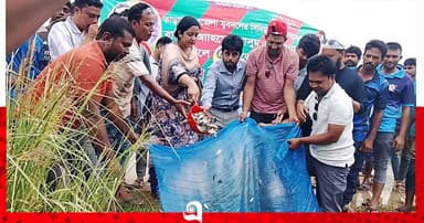 তাড়াশে যুবদল নেতার উদ্যোগে মাছের পোনা অবমুক্ত