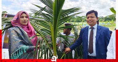 উপকূল বাঁচাতে বৃক্ষরোপণ