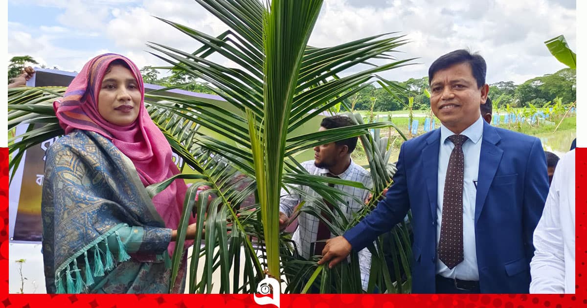 উপকূল বাঁচাতে বৃক্ষরোপণ