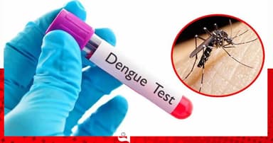 ডেঙ্গুতে আরো মৃত্যু ৩