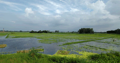 ভানুমতী খাল পুনঃখননের প্রকল্প অনুমোদন