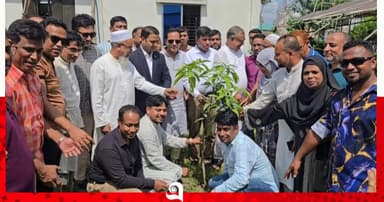 রূপগঞ্জে সাংবাদিকদের বৃক্ষরোপণ ও পরিচ্ছন্নতা অভিযান