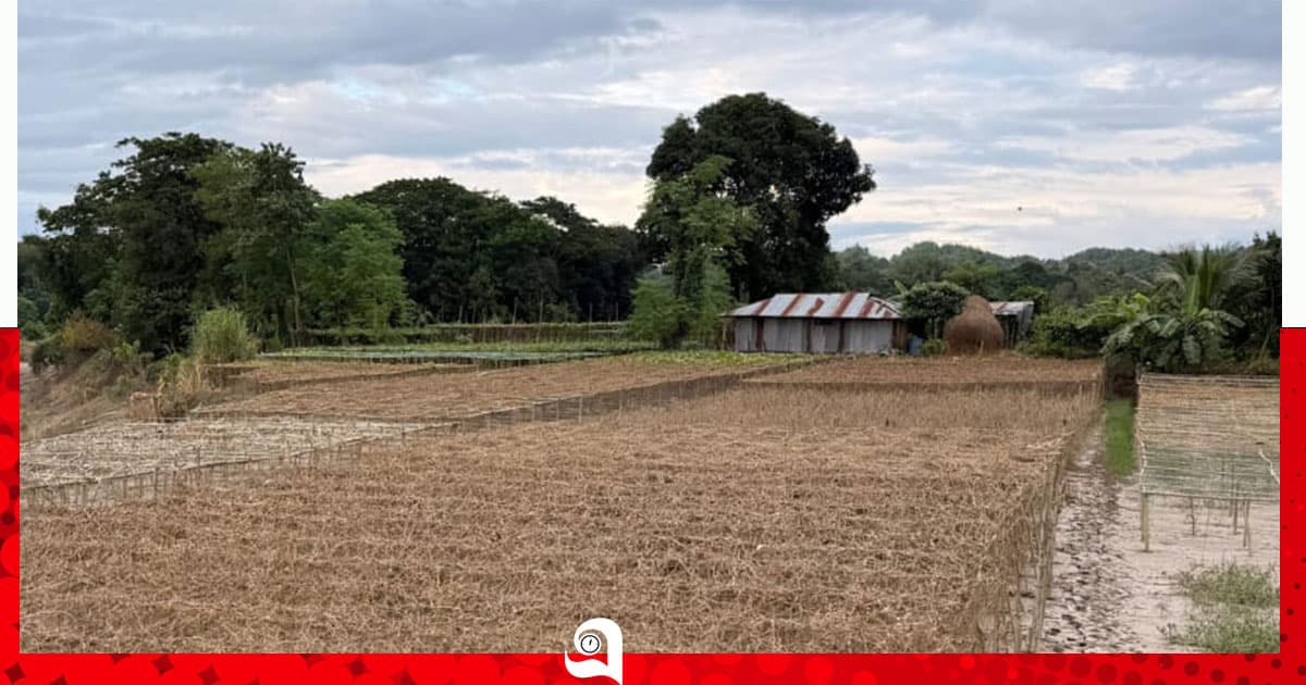 সাতকানিয়ার হাটবাজারে এখন ভরসা উত্তরবঙ্গের সবজি