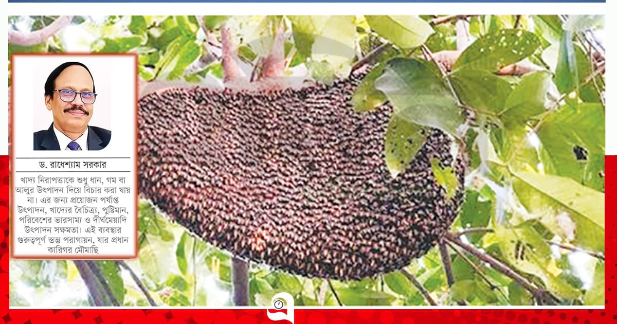 মৌমাছি কমছে, হুমকির মুখে খাদ্য নিরাপত্তা