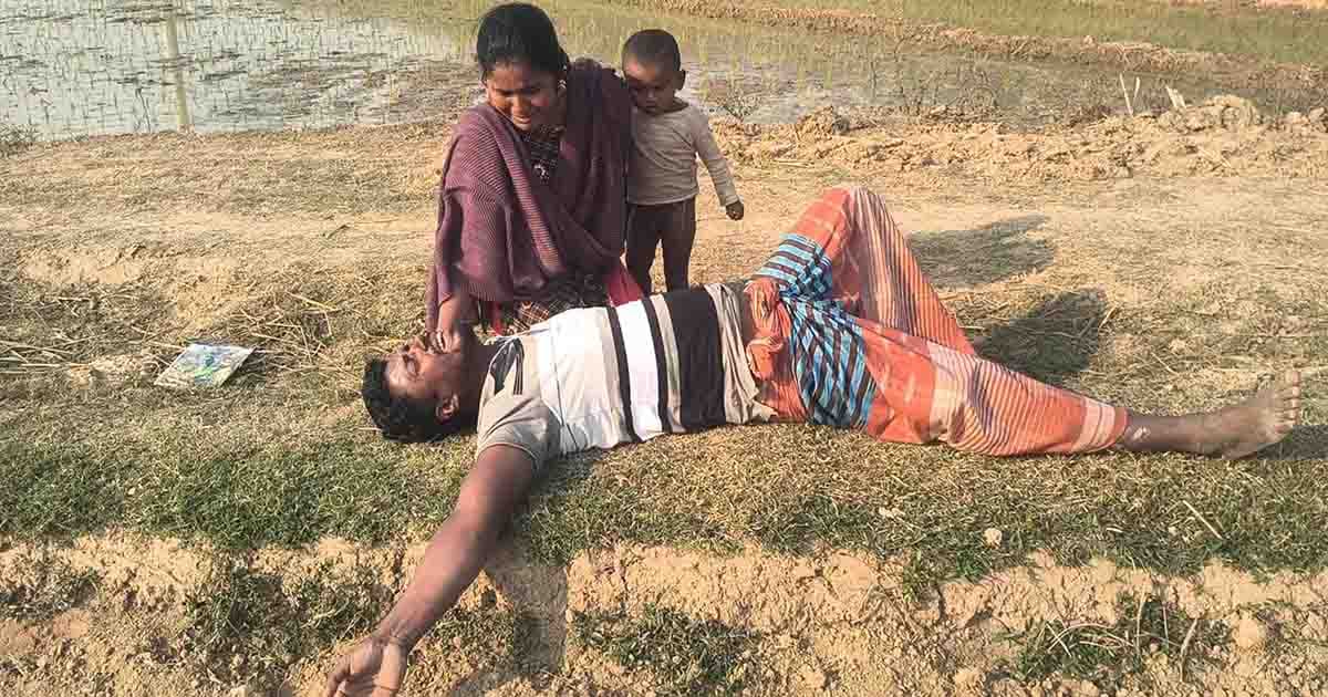 ফসলের জমিতে ট্রাক্টরের চাষ, দিনে দুপুরে কৃষকের সর্বনাশ