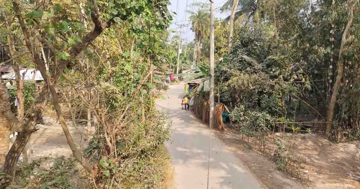 নেছারাবাদে ফের ভূমিকম্প অনুভূত, আতঙ্কে উপজেলাবাসী