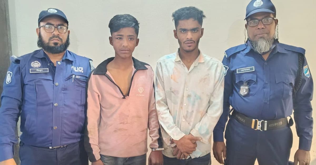 আড়াইহাজারে ছিনতাইকারী দুই ভাইকে গণপিটুনি, অস্ত্র উদ্ধার