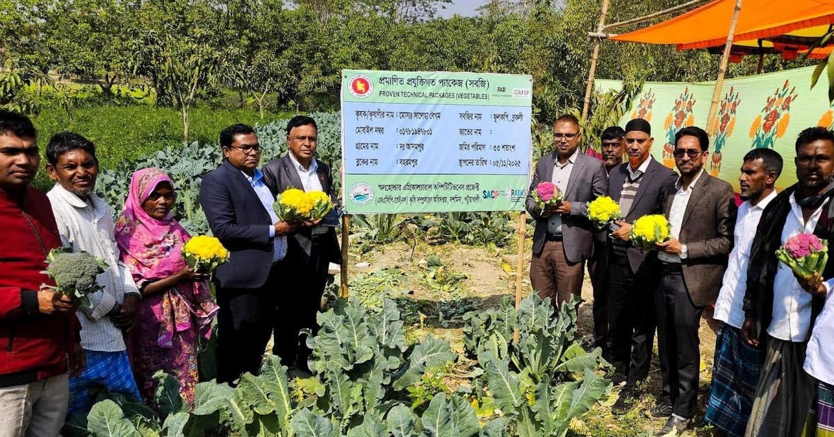 দশমিনায় সবজি ফসল রঙিন ফুলকপি ও ব্রকলির ব্যাপক ফলন