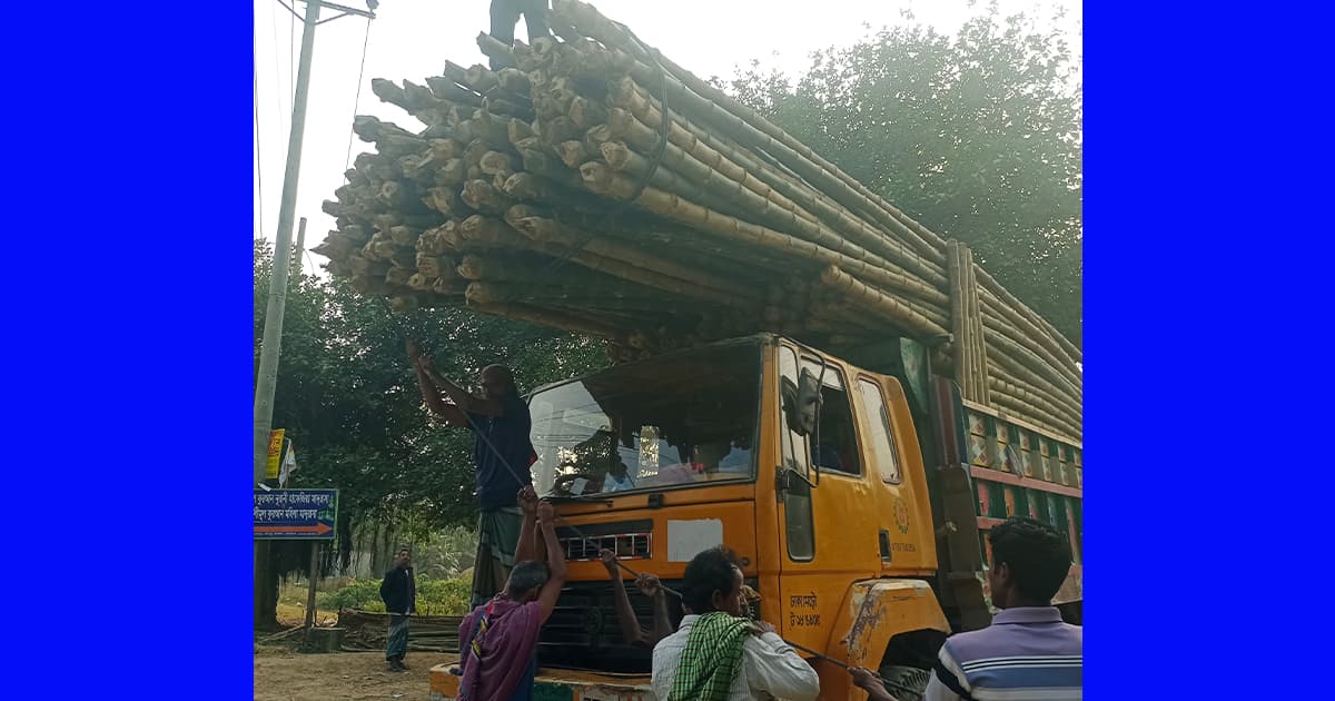 সখীপুরের ঐতিহ্যবাহী বাঁশের হাট "দেওদিঘী"