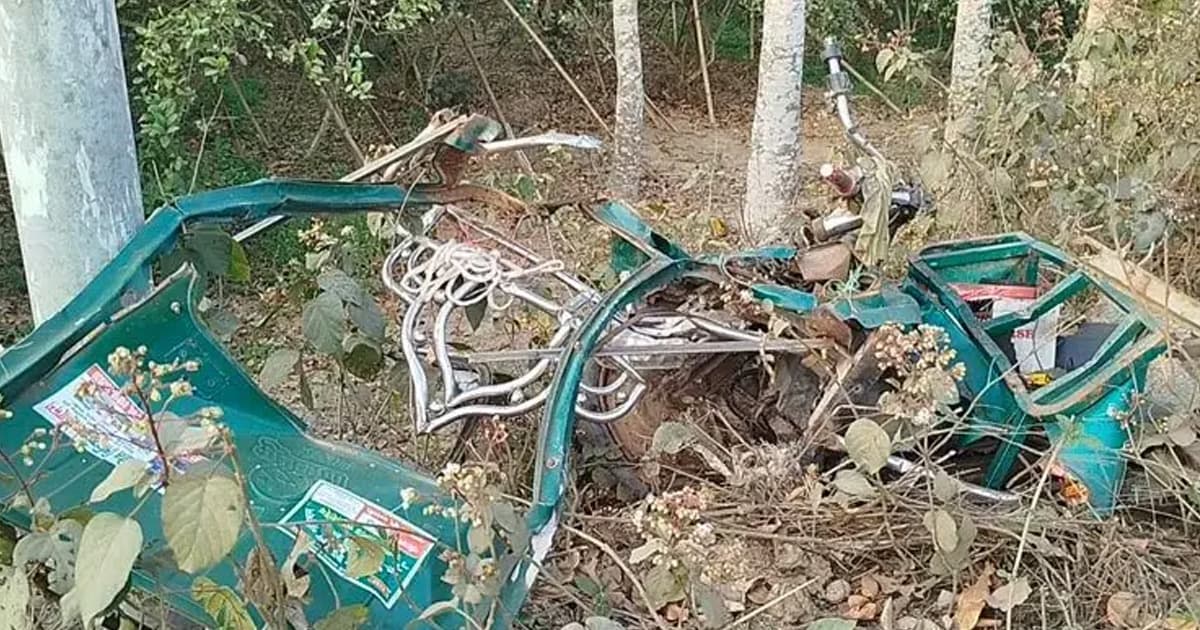 টাঙ্গাইলে ট্রাকচাপায় অটোরিকশার চালকসহ নিহত ২