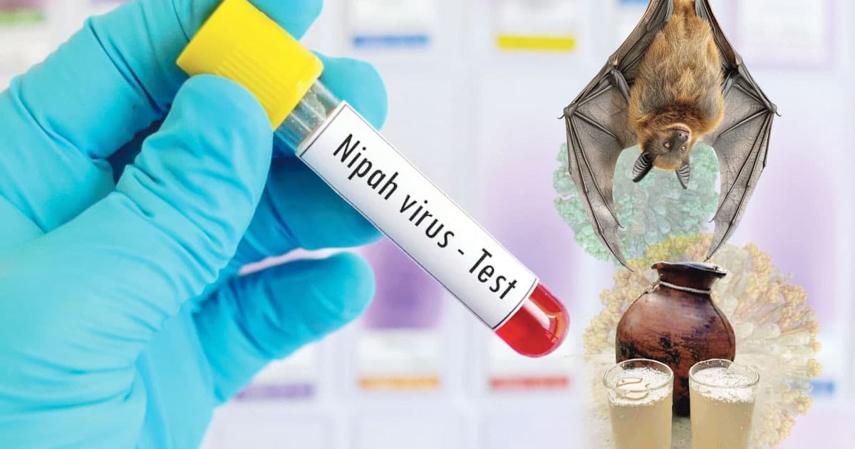 বাংলাদেশে নিপাহ ভাইরাসে আক্রান্ত নারীর মৃত্যু