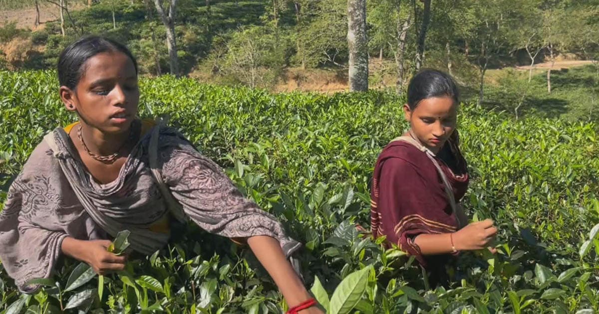 একটি বিদ্যালয় হলে ৫ হাজার শিক্ষারর্থী পাবে শিক্ষার আলো