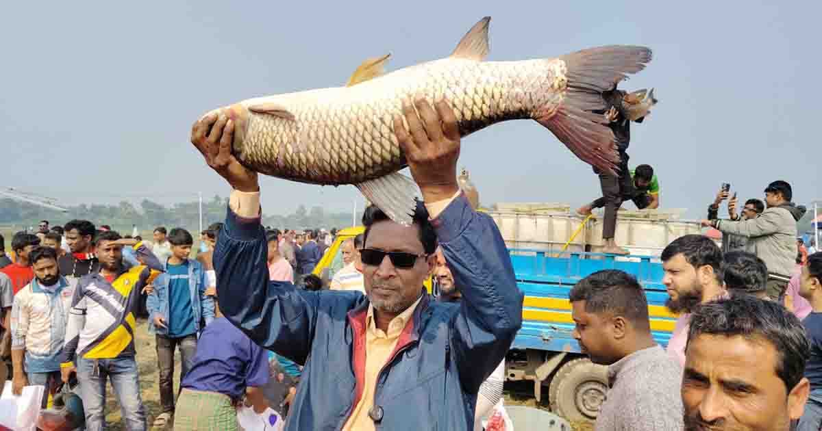 গ্রামীণ ঐতিহ্যের শক্তি, অর্থনীতির চালিকাশক্তি