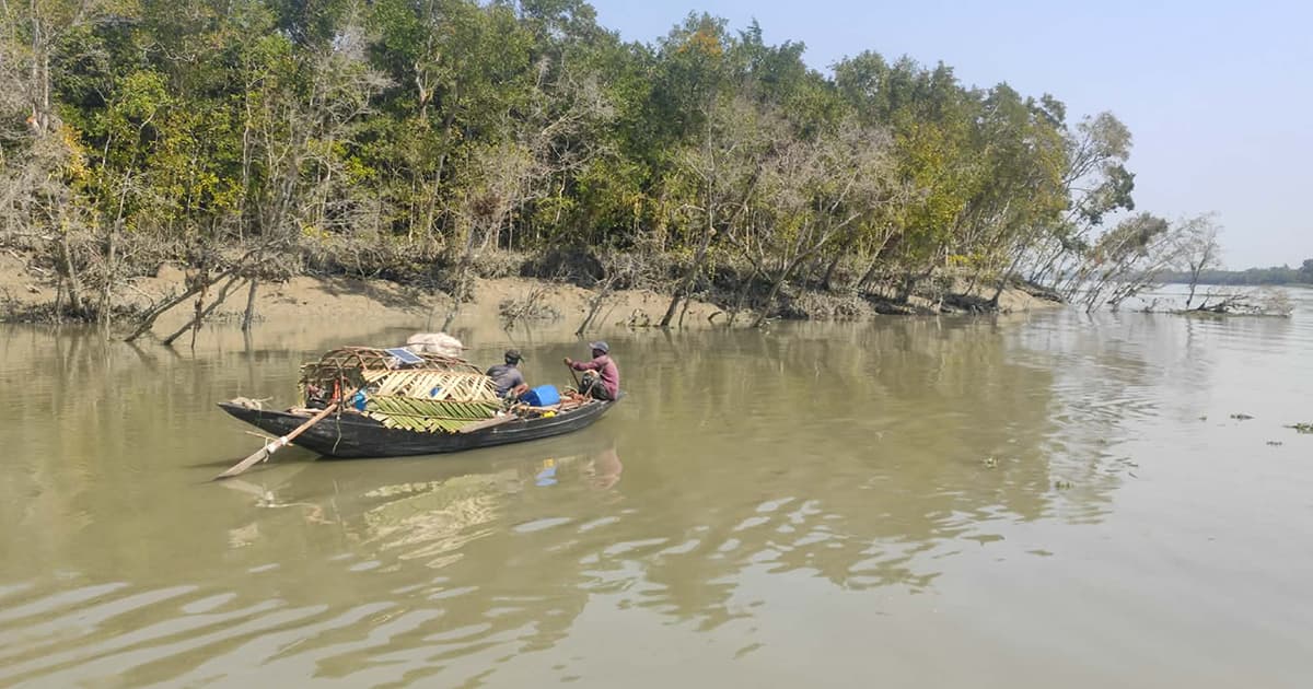 সুন্দরবনে ফের মুক্তিপণের দাবিতে ৫ জেলেকে অপহরণ