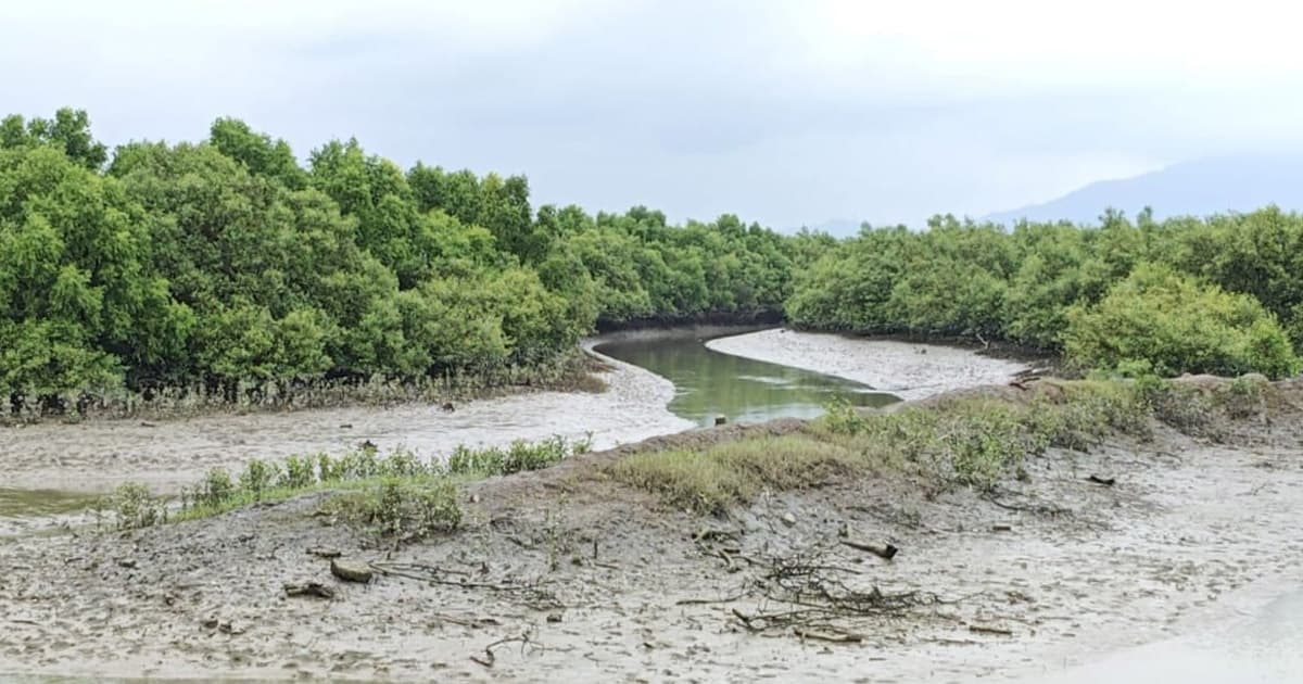 মিয়ানমারে গোলাগুলিতে টেকনাফের দুই কিশোর আহত