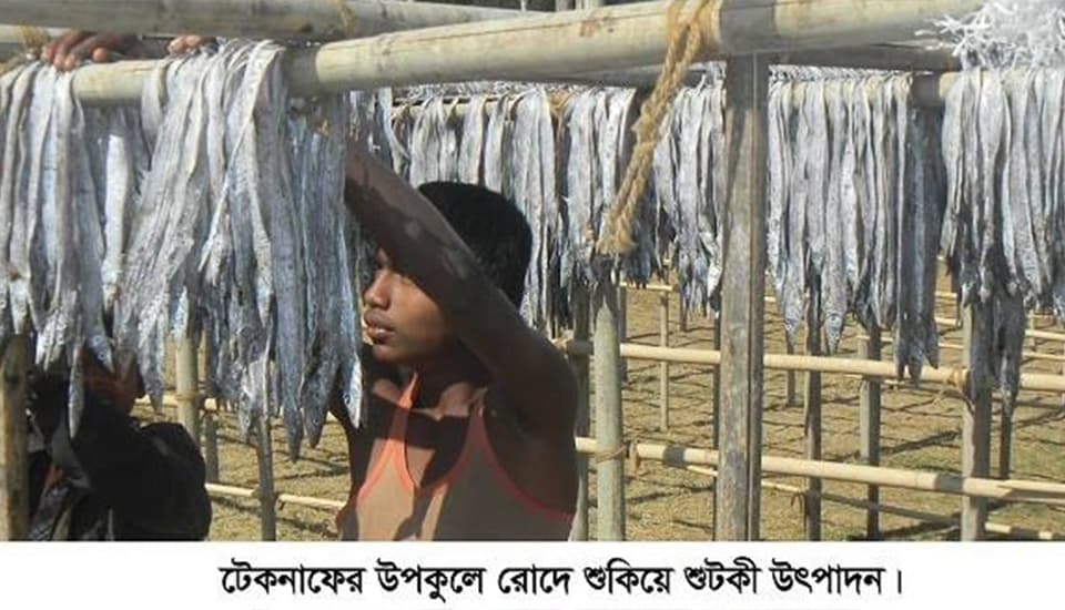 সাগর ও নদীর তীরে শুঁটকি উৎপাদনের ধুম