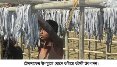 সাগর ও নদীর তীরে শুঁটকি উৎপাদনের ধুম
