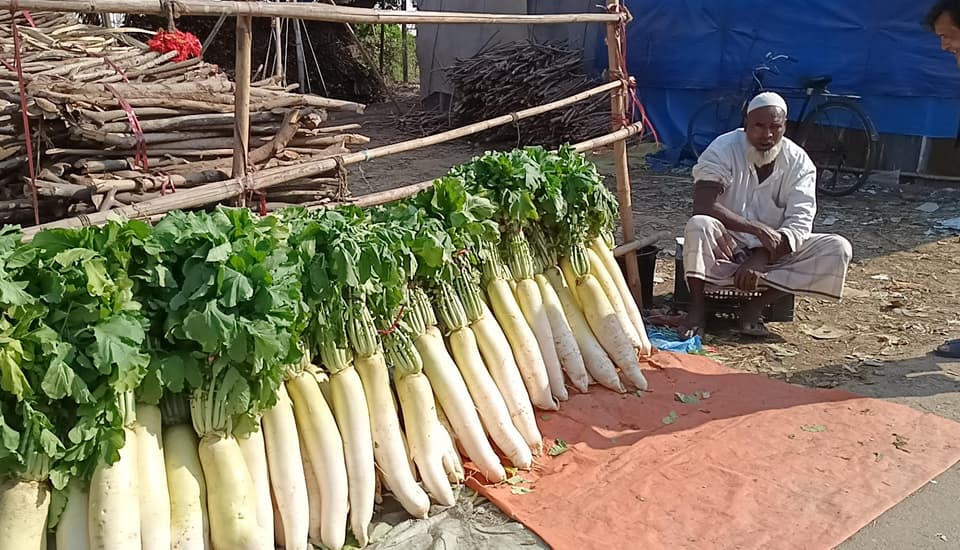 ফটিকছড়িতে জাপানি মুলার আগাম বেচা বিক্রি