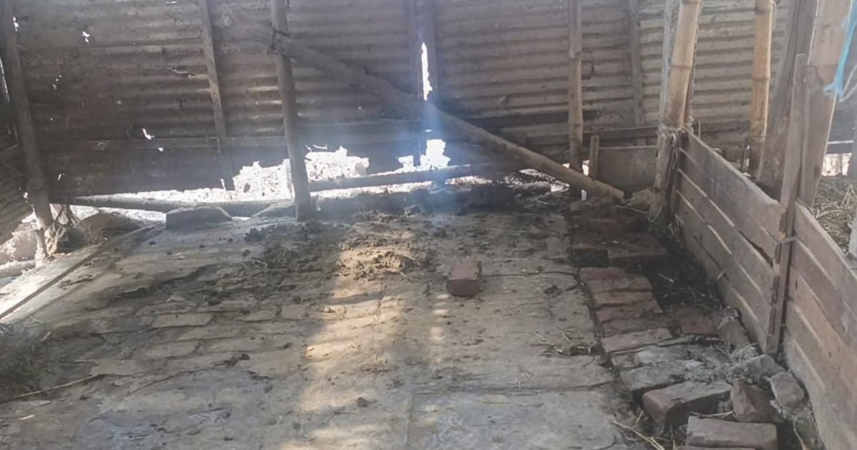 সিদ্ধিরগঞ্জে অস্ত্রের মুখে জিম্মি করে গরু লুট