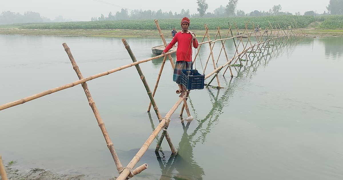 গাইবান্ধার ছয় গ্রামের একমাত্র ভরসা বাঁশের সাঁকো