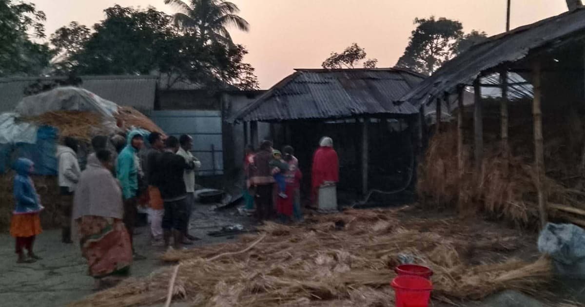 খানসামায় রহস্যজনক অগ্নিকাণ্ডে দুই গরুসহ গোয়ালঘর পুড়ে ছাই