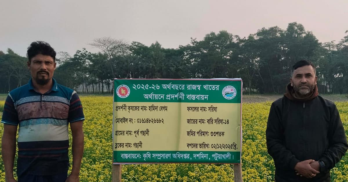 দশমিনায় সরিষার হলুদ ফুলে ফুলে কৃষকের নতুন স্বপ্ন