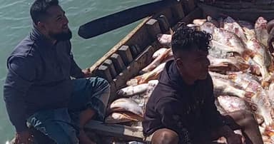 এক জালেই ধরা পড়ল ৬৮৭টি লাল কোরাল, বিক্রি ১০ লাখ টাকায়