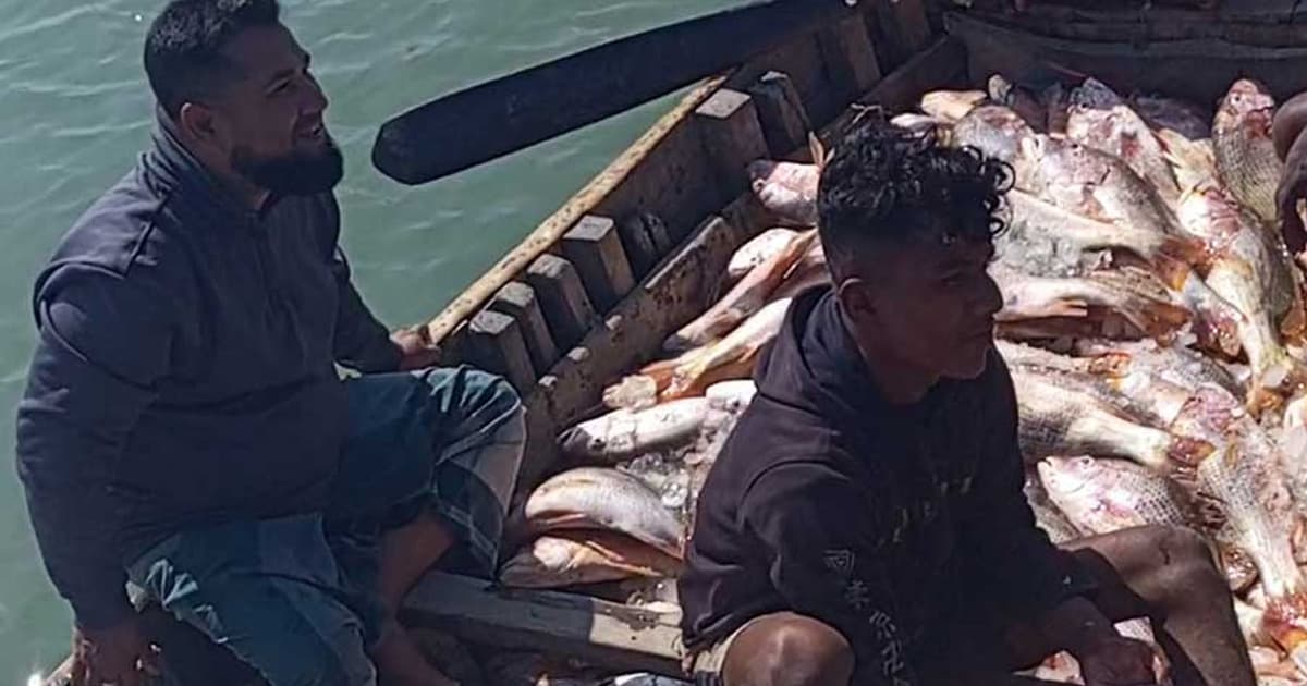 এক জালেই ধরা পড়ল ৬৮৭টি লাল কোরাল, বিক্রি ১০ লাখ টাকায়