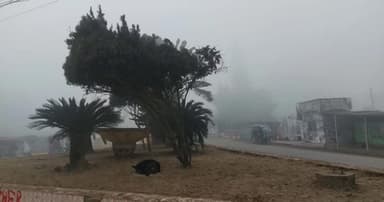 পঞ্চগড়ে মাঝারি শৈত্যপ্রবাহে জনজীবন বিপর্যস্ত