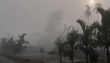 কুয়াশার দাপট থাকবে আরও কয়েক দিন