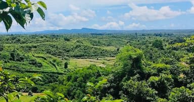 সীমান্তে আরাকান আর্মির পুঁতে রাখা মাইন বিস্ফোরণে বাংলাদেশির পা বিচ্ছিন্ন