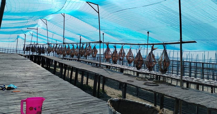 শুঁটকি মানেই মহেশখালী