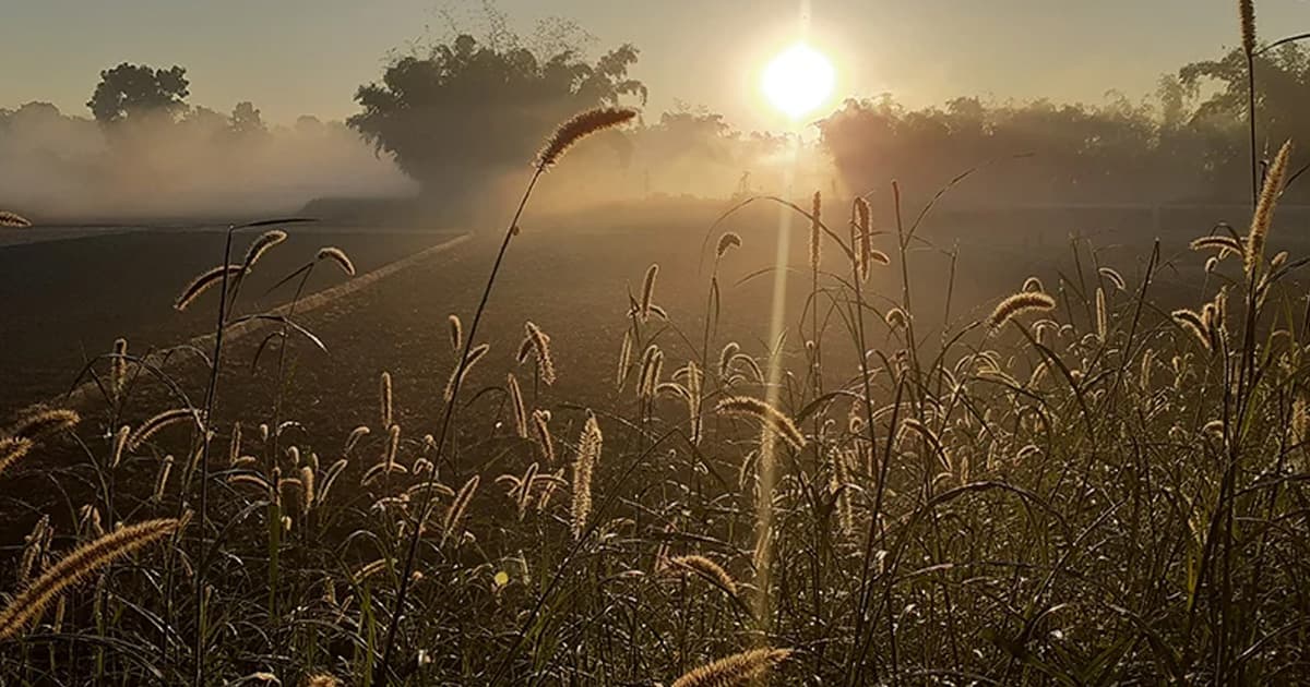 টানা চারদিন ধরে দেশের সর্বনিম্ন তাপমাত্রা পঞ্চগড়ে