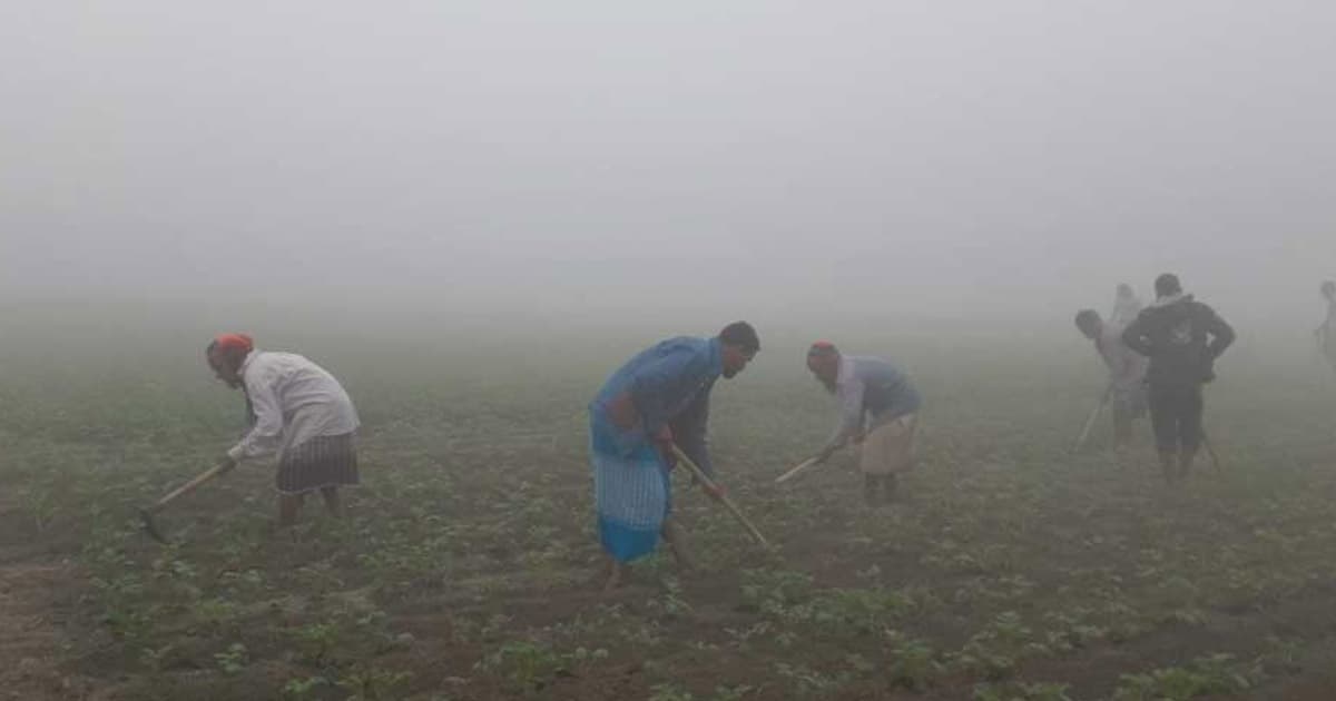 ২৪ জেলার শৈত্যপ্রবাহ থাকছে সোমবার পর্যন্ত