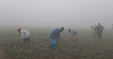 ২৪ জেলার শৈত্যপ্রবাহ থাকছে সোমবার পর্যন্ত