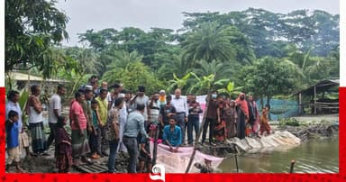 পাথরঘাটায় ১১৩টি পুকুরে মাছের পোনা অবমুক্ত