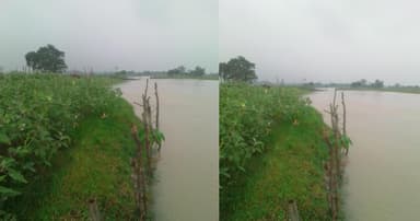 বছীরা নদীতে ভীম জালের ফাঁদ, নৌ চলাচলে ব্যাহত