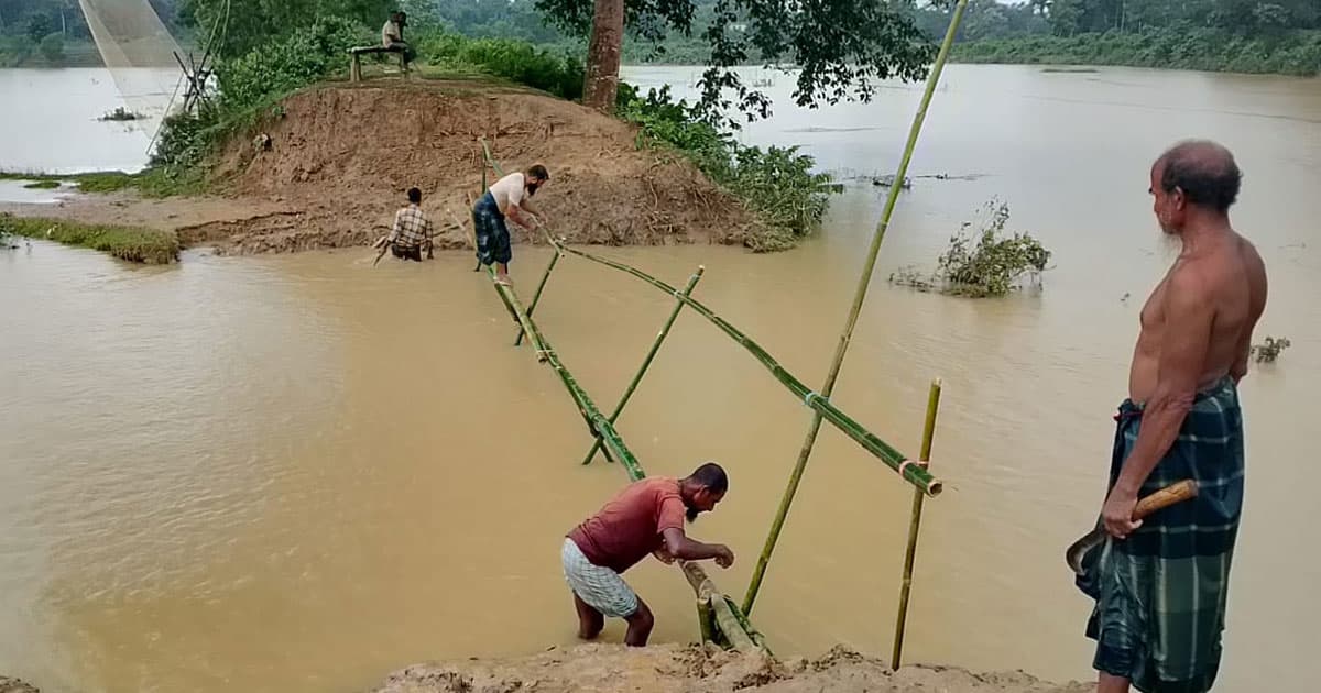 বাঁধ নির্মাণে বিএসএফের বাধা, বাঁশের সাঁকোই ভরসা
