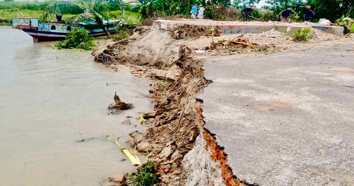 চোখের সামনে ভিটেমাটি গিলে খাচ্ছে পদ্মা, নিঃস্ব হচ্ছে নদীপাড়ের মানুষ